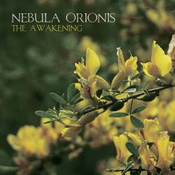 Nebula Orionis : The Awakening